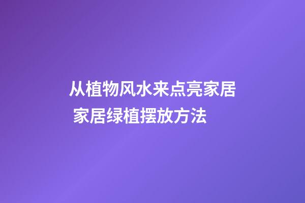 从植物风水来点亮家居 家居绿植摆放方法